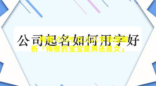 梅根 🐶 女儿八字命理解析「梅根的宝宝是男还是女」